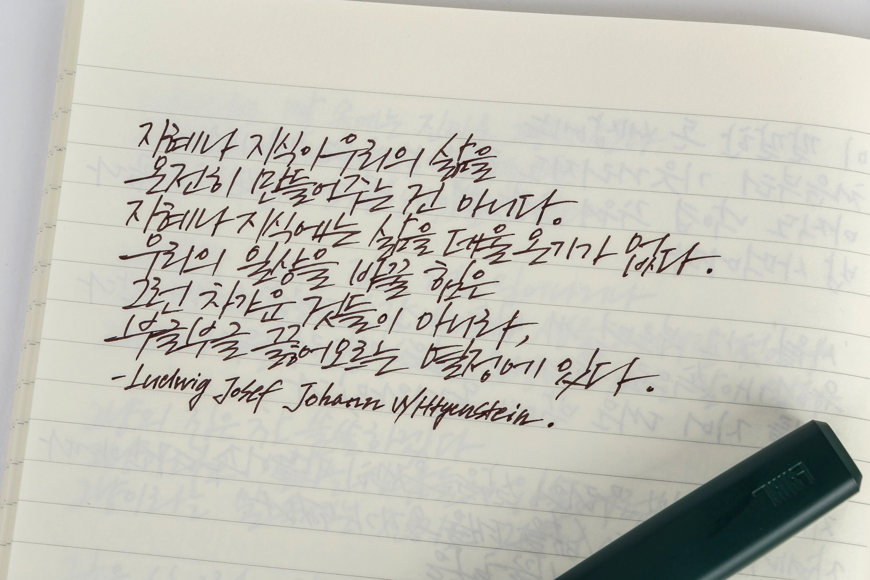 겸손몰 베개 파인라이너 사용기