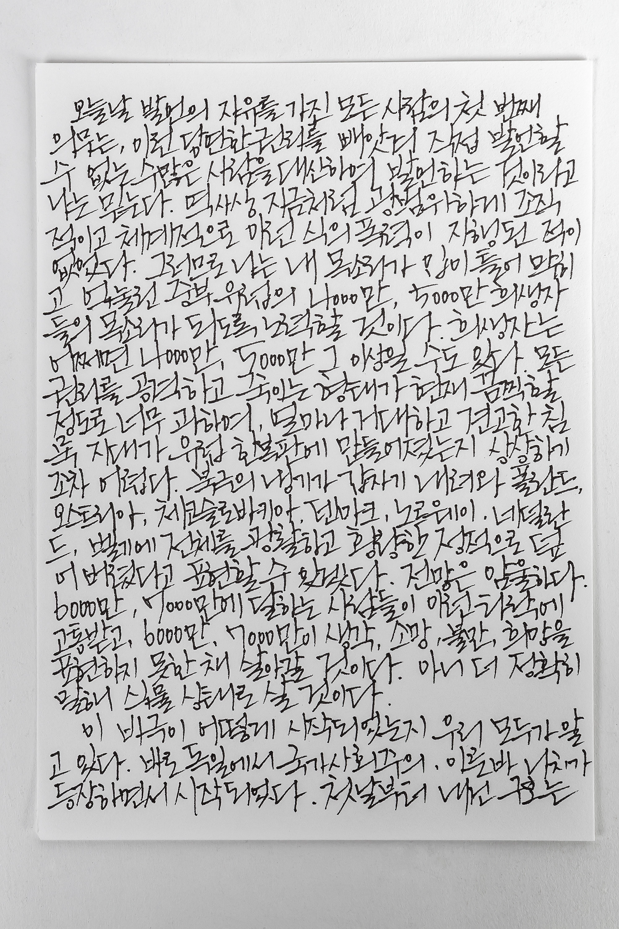 겸손몰 베개 파인라이너 사용기